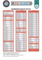 Proszek do wyważania kół 300g EASY BALANCE
