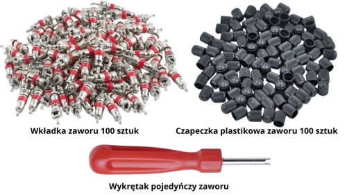 Zestaw wkładka/czapeczka/wkrętak zaworu